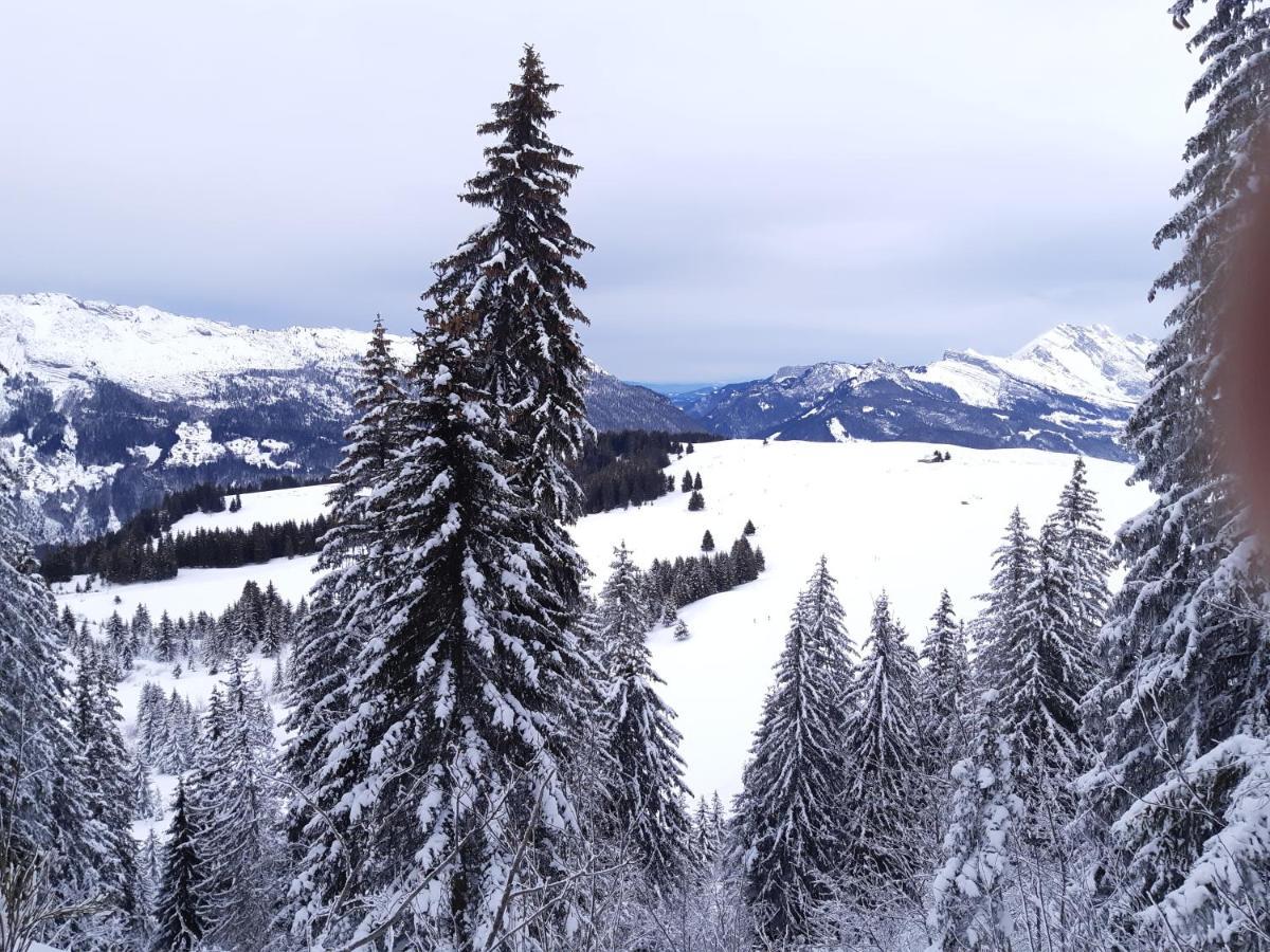 Le Soladret - 2 Pieces 4 Etoiles - Vue Extraordinaire Sur Les Aravis *